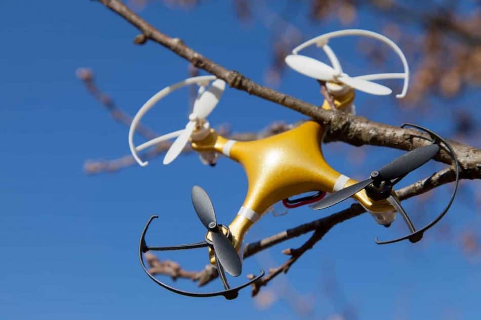 Drone quadcopter crashed on tree in city park