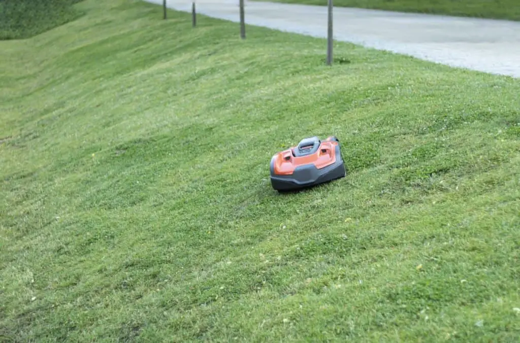 Automatic lawn mower in the process of working