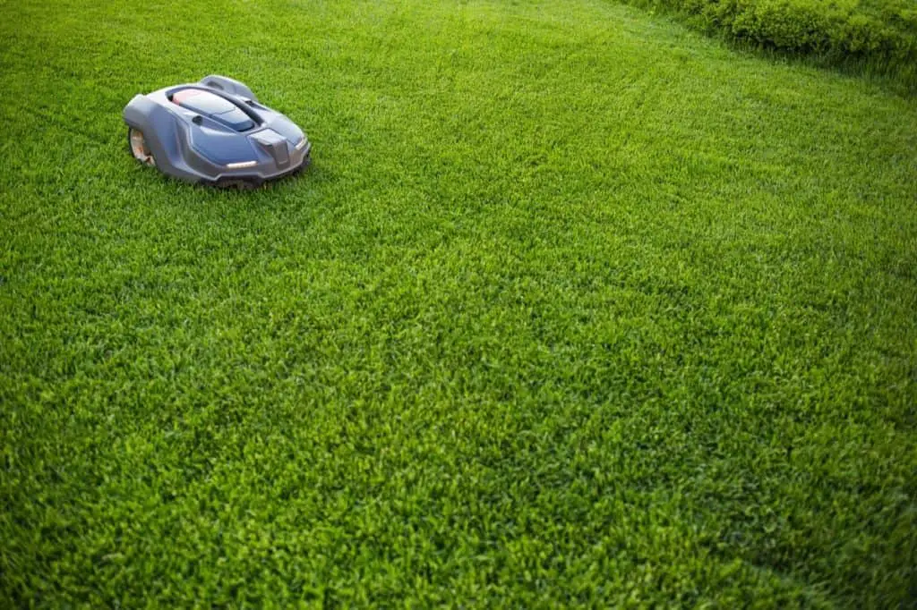 Automatic lawn mower robot moves on the grass, lawn. side view from above, copy space