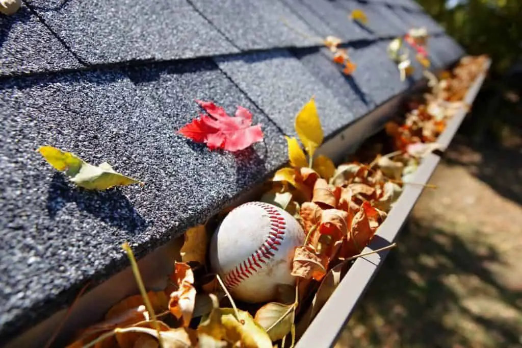 Rain gutter full of autumn leaves